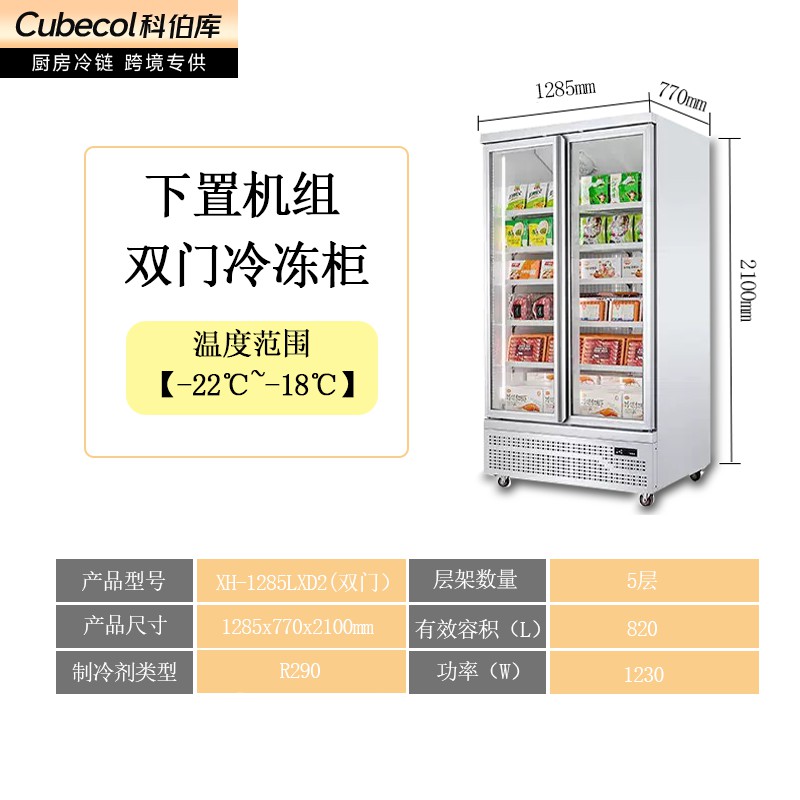 冷冻展示柜（双门）