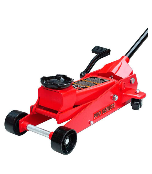 Gato de taller con r