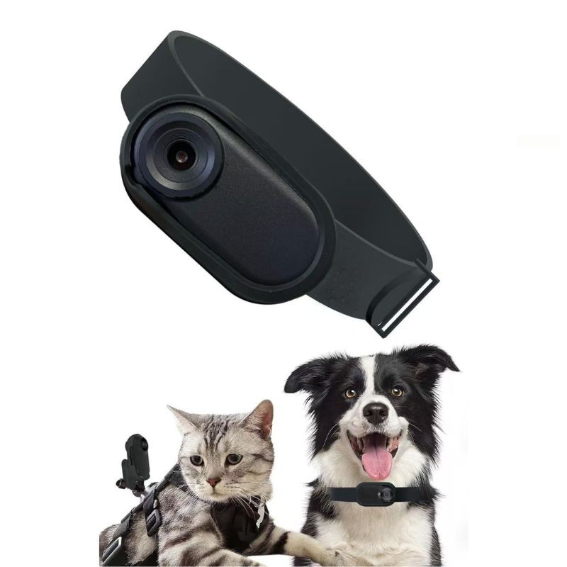 Haz clic para ver más imágenes COLLAR-DM10#632