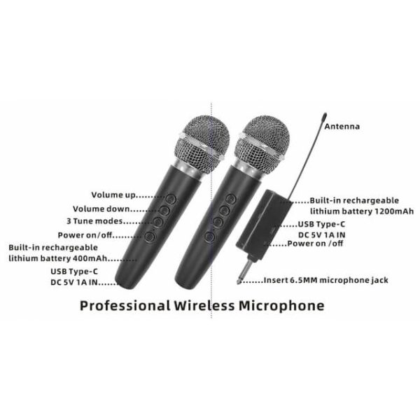Micrófono dual inalámbrico profesional DS-02S - Imagen 2